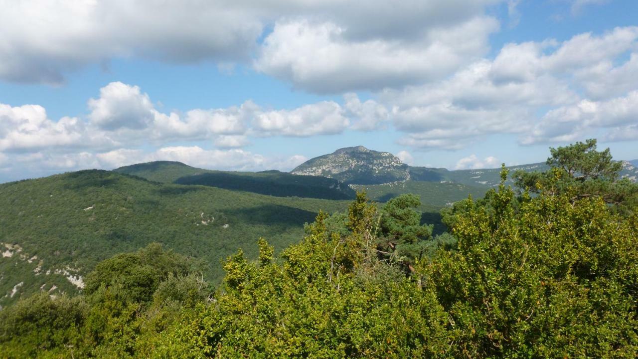 Can Pedragos Sales de Llierca Extérieur photo